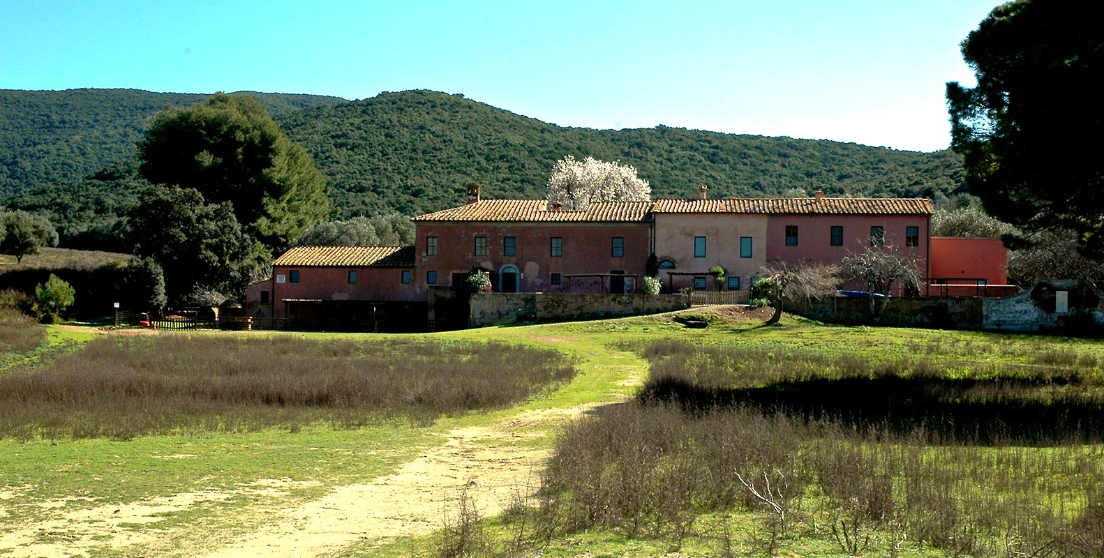 Casali per Vacanze nel parco della Maremma